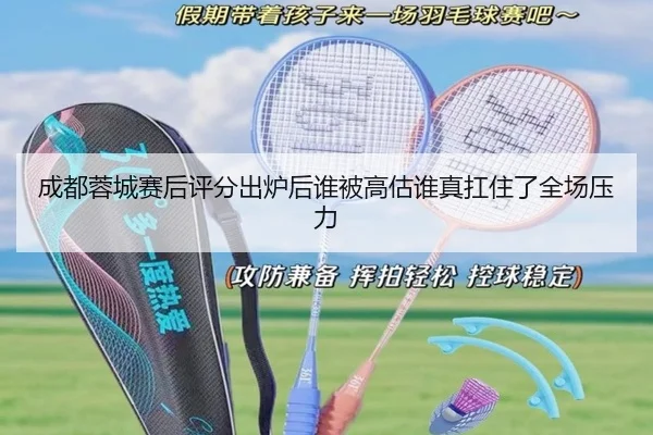 成都蓉城赛后评分出炉后谁被高估谁真扛住了全场压力